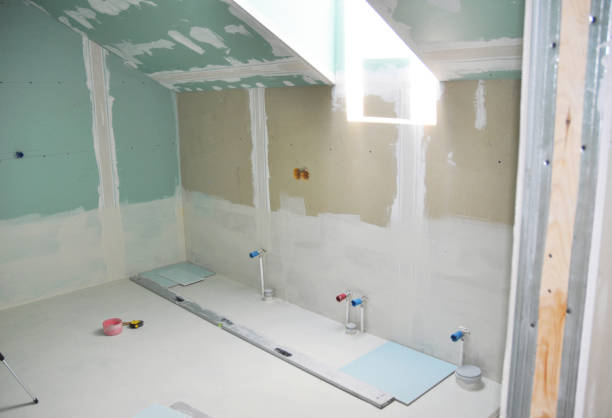Best Airborne Mold Testing  in Litchfield, IL