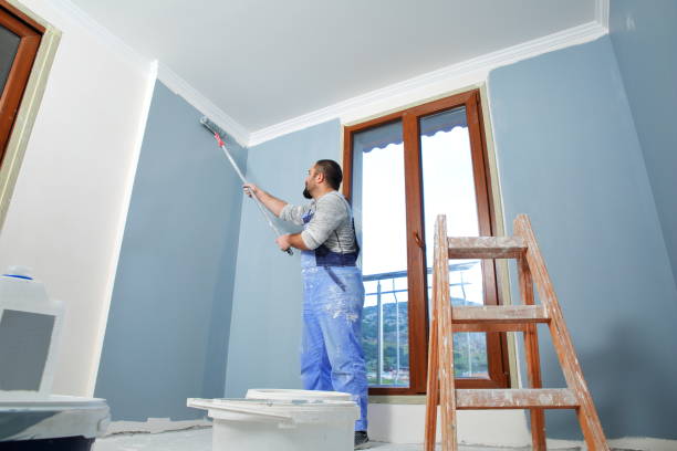 Best Mold Remediation for Healthcare Facilities  in Litchfield, IL