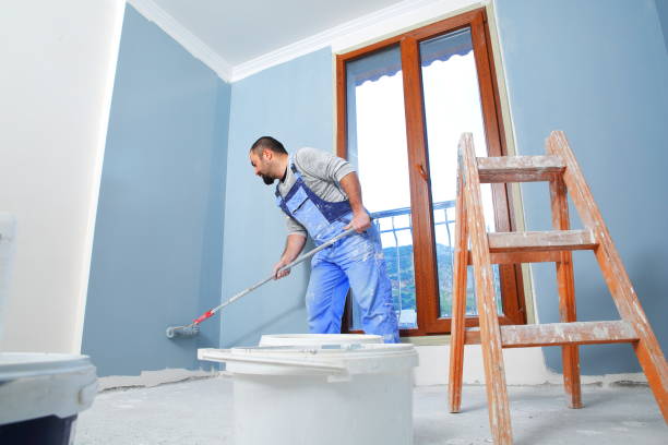 Best Industrial Mold Remediation  in Litchfield, IL