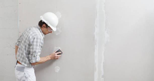 Best Commercial Mold Inspection  in Litchfield, IL