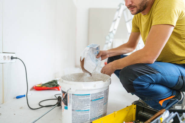 Trusted Litchfield, IL Mold Removal Experts