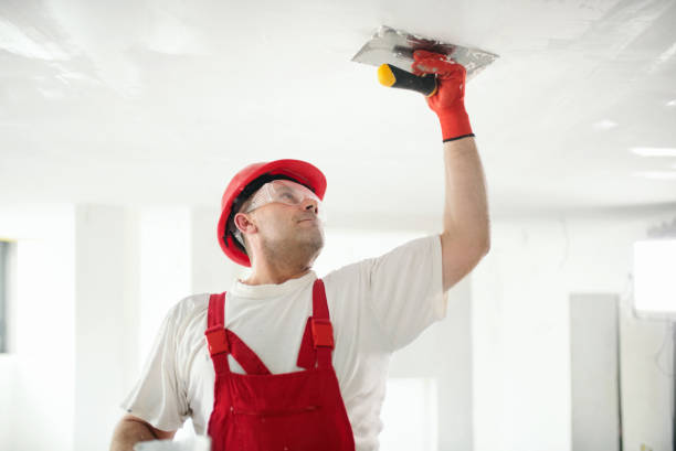 Best Crawl Space Mold Remediation  in Litchfield, IL