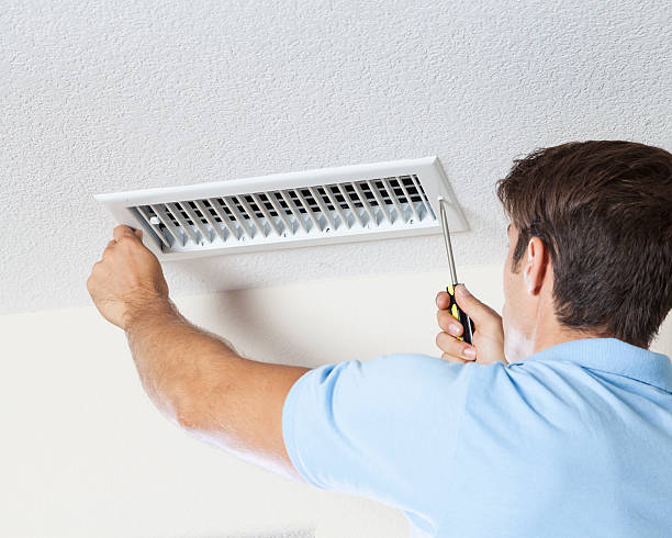Best Real Estate Mold Inspection  in Litchfield, IL