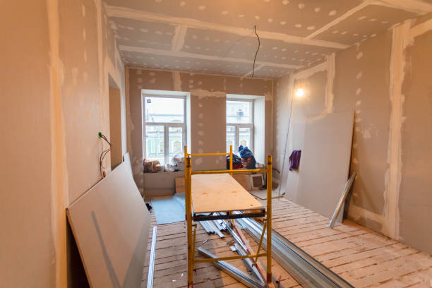 Best Residential Mold Inspection & Testing  in Litchfield, IL